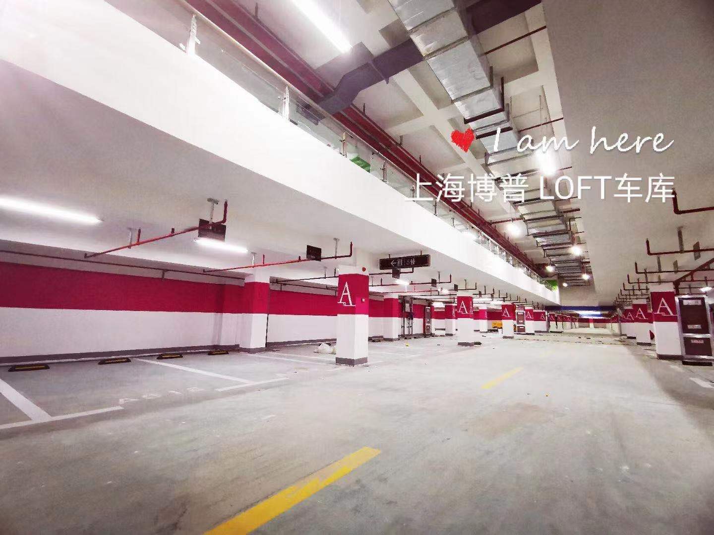金昌已交竣的绿城豪华LOFT专利车库效果惊艳！